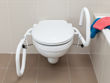 Picture of Throne 3 in 1 Toilet Rail - Powder Coated