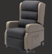 Picture of Ascent Medical Lift Chair - Dual Motor, Trufa