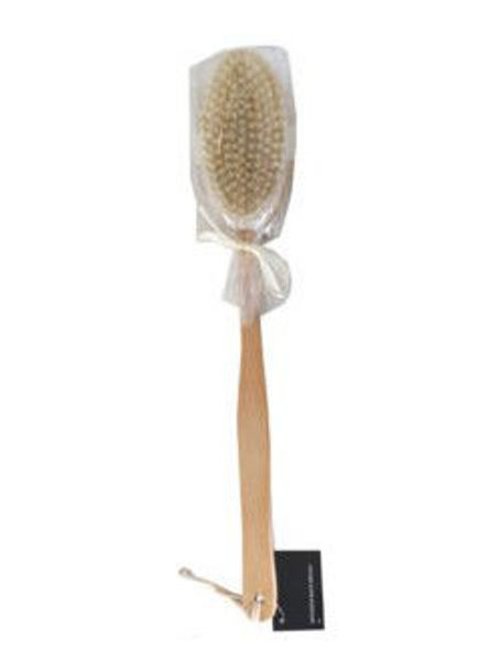 Picture of Wooden Back Brush - Natural Bristle 