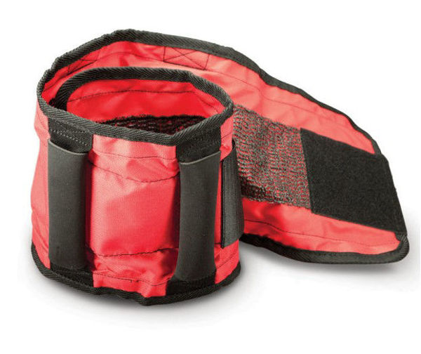 Picture of Small - Walking Belt, Red