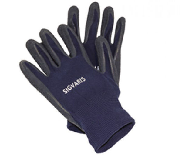 Picture of Medium - Sigvaris Gloves, Pair 