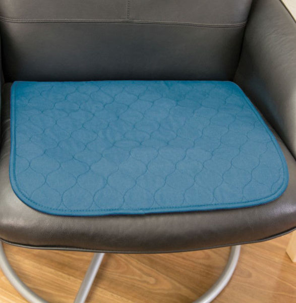 Picture of Small Chair Pad - Teal Blue